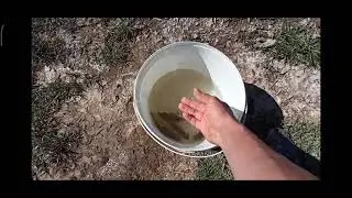 Из Микрореки... микрорыбы,😅 классная рыбалка получилось.