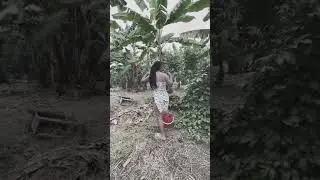 Tante cantik pakai daster kelihatan jelas itu nya di kebun mbah maryono