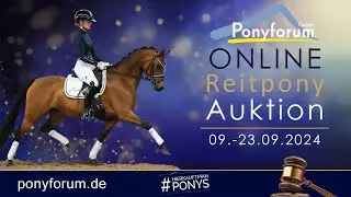 Hesselteichs Golden Glamour Girl Stute 2019 v. Golden Atreju / Sunrise Moonlight