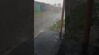 13 июля 2024 г.
