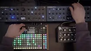 Modal Argon 8M, Cobalt 8M, Syntshtrom Deluge, Moog Minitaur | Deep Dark UK Garage