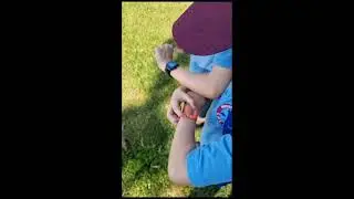 Casio watch synchronisation