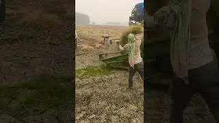 #Punjabi #harvester #new🌾🌾🚜🚜☀
