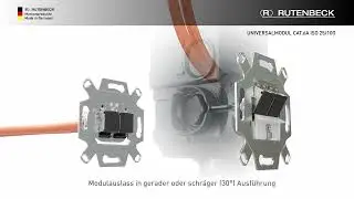 Produktpräsentation eines Netzwerk-Keystone-Moduls
