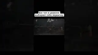 Что выбрать в STALCRAFT 