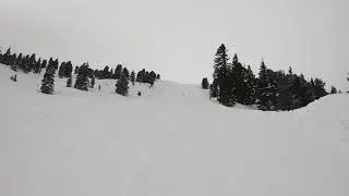 5 March 2020 / Kaltenbach / 6