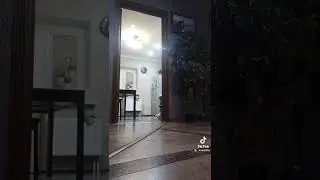 Попугай ругается