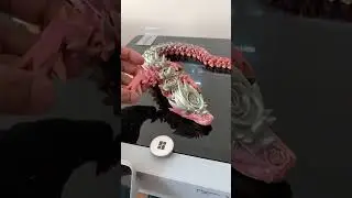 RoseDragon 