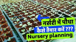 नर्सरी में पौधा कैसे तैयार करें ???- Nursery planning- Presented by Agriplast Tech India Pvt Ltd