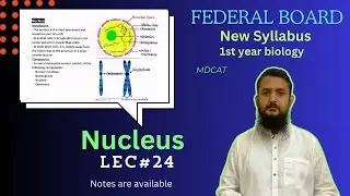 Nucleus | Structure and function of Nucleus | class 11