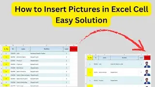 How to Insert a Picture in an Excel Cell | Step-by-Step Tutorial