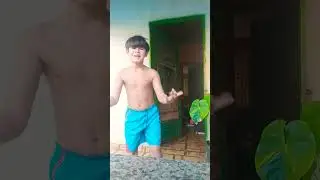 13 de junho de 2024