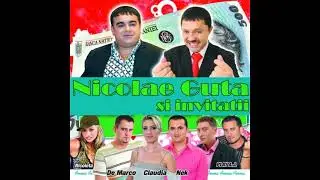 Nicolae Guta si Florin Mitroi - Am baietii de elita
