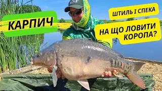 АНОМАЛЬНА СПЕКА. НА ЩО ЛОВИТИ КОРОПА. Рибалка на водоймі Карпич