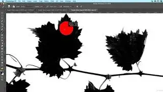 How to reshape images using the Puppet Warp in Photoshop