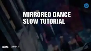 BLACKPINK Kill This Love Mirrored Dance slow tutorial  ( Dance Cut Ver. )
