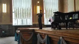 Король Великолепный играет на скрипке