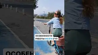 В закрепленном комментарии 📌 #сверхчувствительнаяличность #сверхчувствительность #счл #вчл #мозг