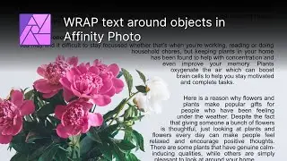 Wrapping text around objects in Affinity Photo
