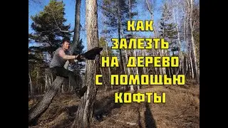 ЛАЙФХАК | Как залезть на дерево с помощью кофты . Climb a tree 