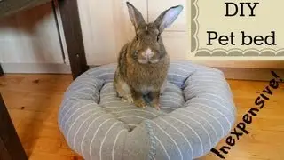 DIY inexpensive pet bed