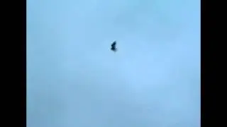 My Edited Video