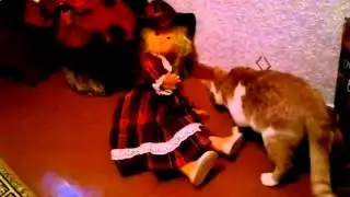 Кот лезет под юбку