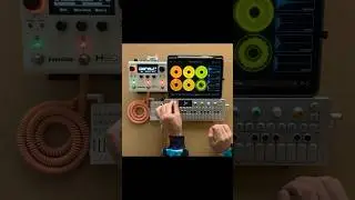 Live looping cinematic chords w/  loopy pro, OP-1, H90, & TX-6 #shorts
