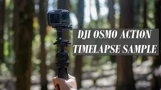DJI Osmo Action Timelapse Sample [4K]