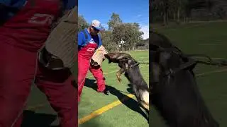 Protection with Bax