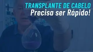 Transplante de cabelo tem que ser rápido