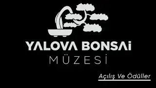 YALOVA BONSAİ MÜZESİ AÇILDI.