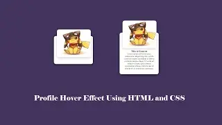 Profile Hover Effect Using HTML and CSS | Hover Effect | Blog Design | @frontlinecoders8781