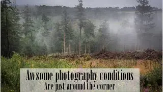 Best photography conditions are just around the corner.