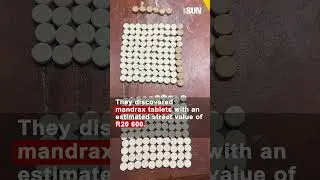 TSOTSI HUNT | Border police uncover hidden drug stash #DailySun