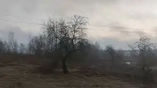 3 марта 2024 г.