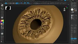 Iris Speed Sculpting - Part 01