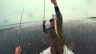 ТОП силиконовых приманок на щуку в траве / лучшие силиконовые приманки на щуку 2020