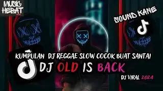 KUMPULAN DJ REGGAE SLOW TERBARU || DJ CAMPURAN VIRAL TIKTOK 2024🎵