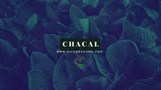 [ FREE ] AFRO DANCE x AFRO HOUSE TYPE BEAT 2021 "CHACAL"  // AFRO TRAP BEAT 2021