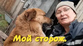 Дружок напал на соседку.