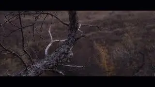 Немного осени....