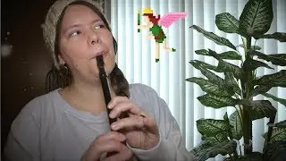 In The Deep Woods - Stardew Valley Tin Whistle Cover