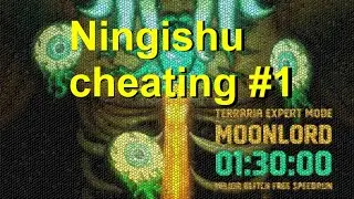 Let me tell you why ningishu cheated 1