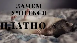 ОНЛАЙН КУРС ПЛАТНО - НАДО ЛИ?