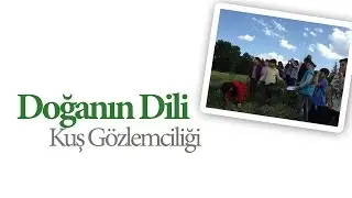 Sakin Okul Doğanın Dili Atölyesi - Kuş Gözlemciliği