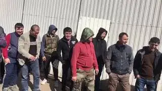 Сержик сиктир