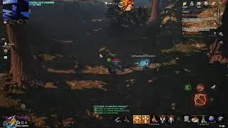 Lineage 2M | Качаем лука, общаемся
