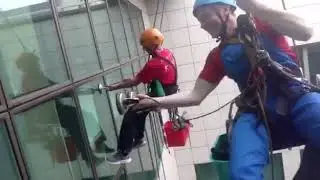 Голмидон