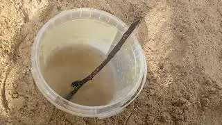 Как приготовить вкусный песок? 🌚 Советы от Кэта
